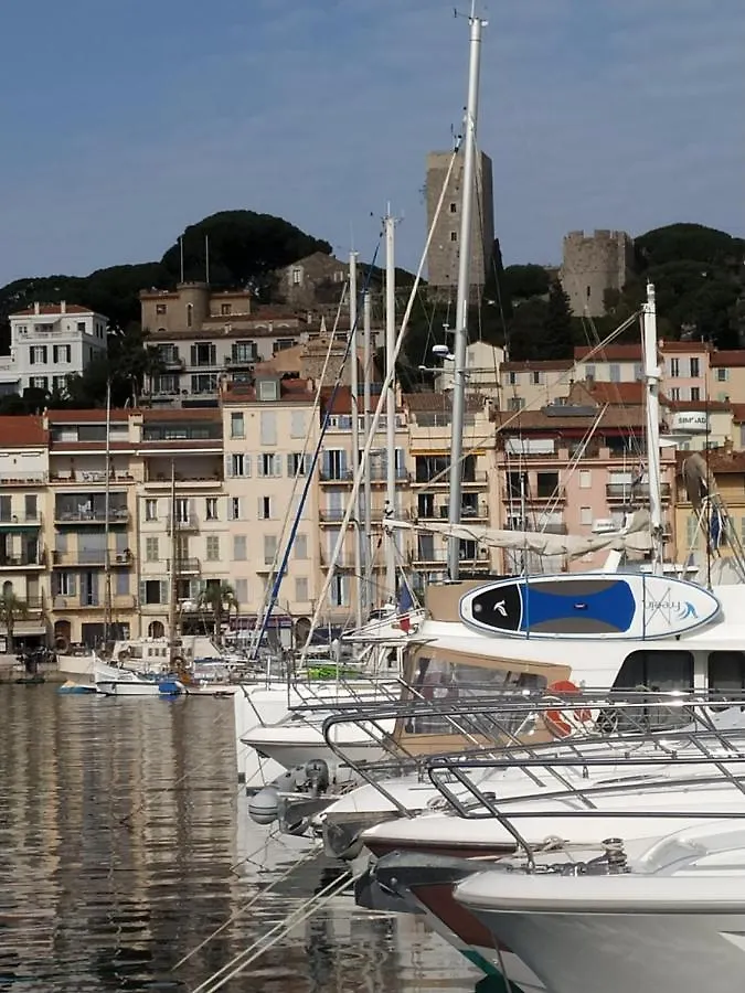 Ferretti 36 ' Bateau A Quai Vieux-Port Cannes Festival La Croisette