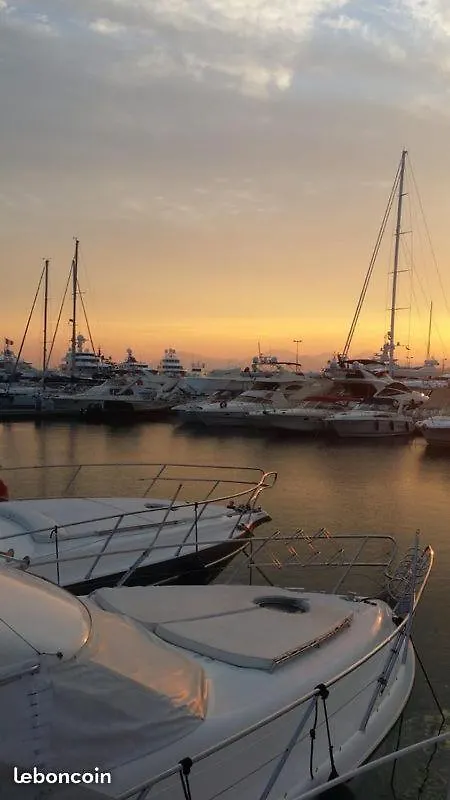 Ferretti 36 ' Bateau A Quai Vieux-Port Cannes Festival La Croisette